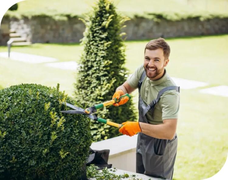professional gardening service trimming plants