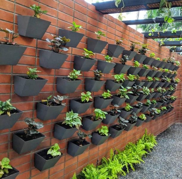vertical garden ideas for small homes India